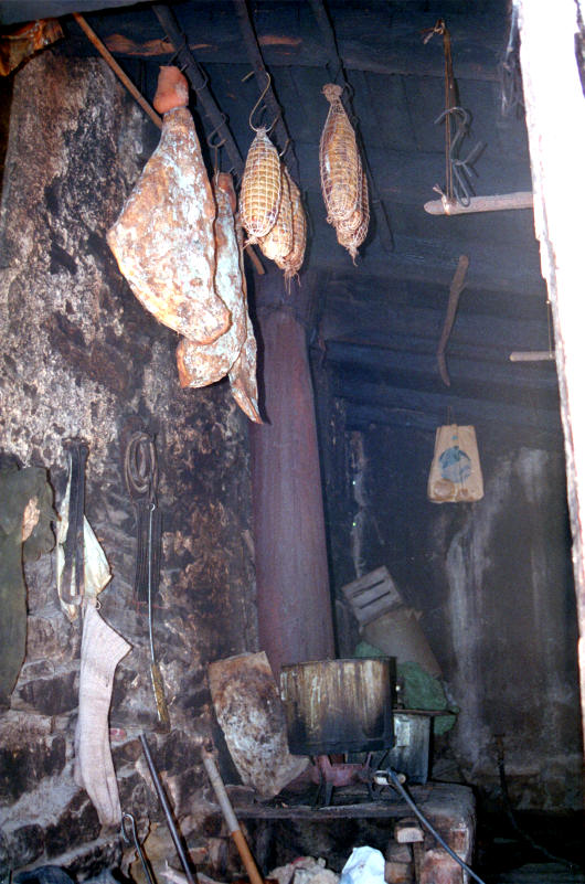 ... istrische Spezialit�ten :-)