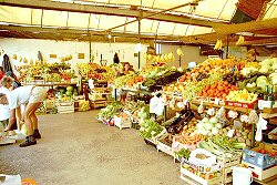 Obst- und Gem�semarkt in Mali Losinj